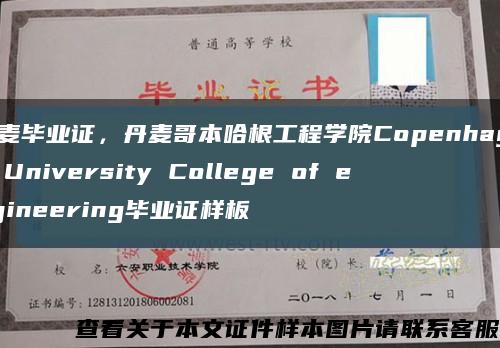 丹麦毕业证，丹麦哥本哈根工程学院Copenhagen University College of engineering毕业证样板缩略图