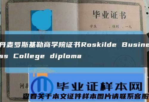 丹麦罗斯基勒商学院证书Roskilde Business College diploma缩略图