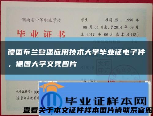 德国布兰登堡应用技术大学毕业证电子件，德国大学文凭图片缩略图