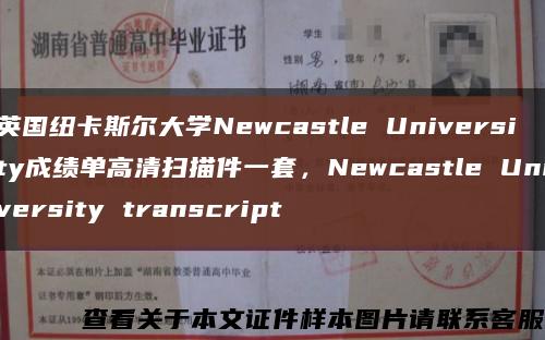 英国纽卡斯尔大学Newcastle University成绩单高清扫描件一套，Newcastle University transcript缩略图