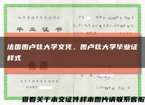 法国图卢兹大学文凭，图卢兹大学毕业证样式缩略图