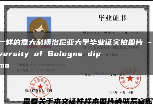 不一样的意大利博洛尼亚大学毕业证实拍图片 - University of Bologna diploma缩略图