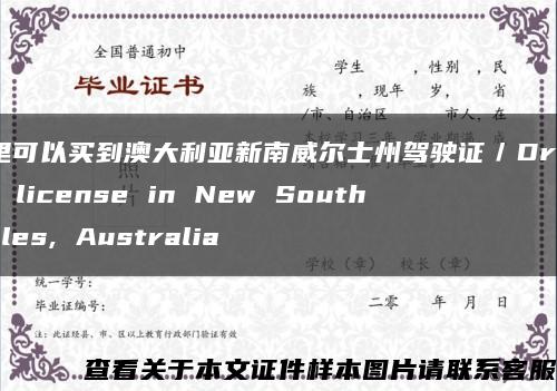 哪里可以买到澳大利亚新南威尔士州驾驶证／Driver's license in New South Wales, Australia缩略图