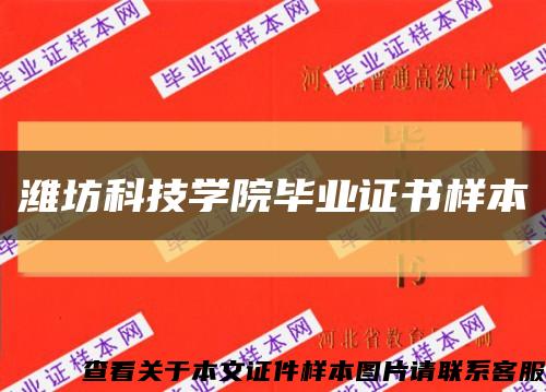 潍坊科技学院毕业证书样本缩略图