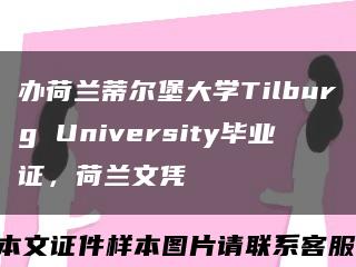 办荷兰蒂尔堡大学Tilburg University毕业证，荷兰文凭缩略图