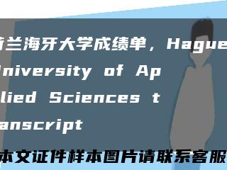 荷兰海牙大学成绩单，Hague University of Applied Sciences transcript缩略图