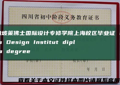 新加坡莱佛士国际设计专修学院上海校区毕业证 Raffles Design Institut diploma degree缩略图