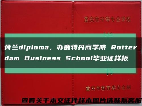 荷兰diploma，办鹿特丹商学院 Rotterdam Business School毕业证样板缩略图