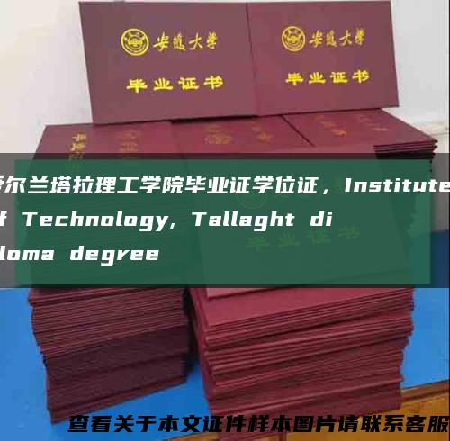 爱尔兰塔拉理工学院毕业证学位证，Institute of Technology, Tallaght diploma degree缩略图