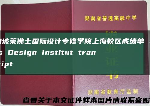 新加坡莱佛士国际设计专修学院上海校区成绩单 Raffles Design Institut transcript缩略图