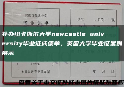 补办纽卡斯尔大学newcastle university毕业证成绩单，英国大学毕业证案例展示缩略图