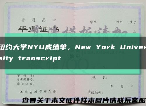 纽约大学NYU成绩单，New York University transcript缩略图