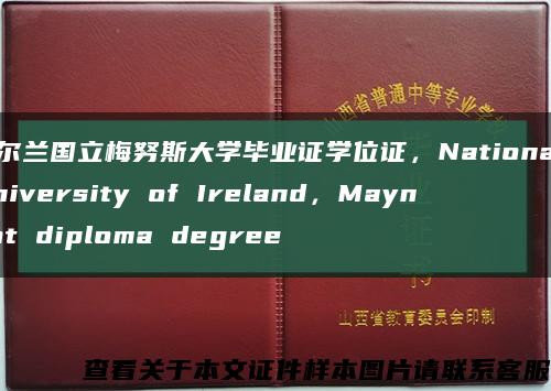 爱尔兰国立梅努斯大学毕业证学位证，National University of Ireland，Maynoot diploma degree缩略图