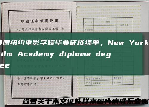 美国纽约电影学院毕业证成绩单，New York Film Academy diploma degree缩略图