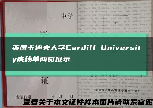 英国卡迪夫大学Cardiff University成绩单两页展示缩略图