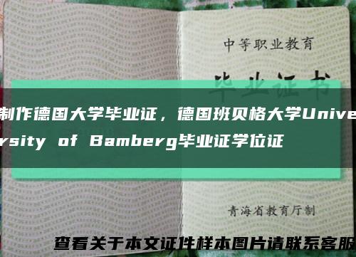 制作德国大学毕业证，德国班贝格大学University of Bamberg毕业证学位证缩略图