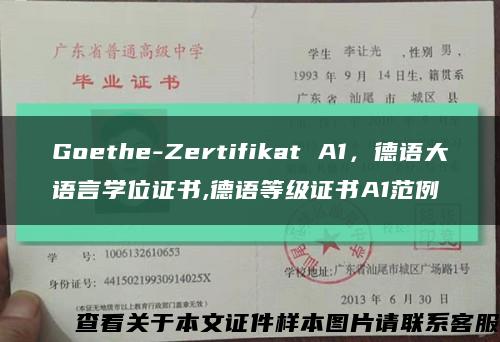Goethe-Zertifikat A1，德语大语言学位证书,德语等级证书A1范例缩略图
