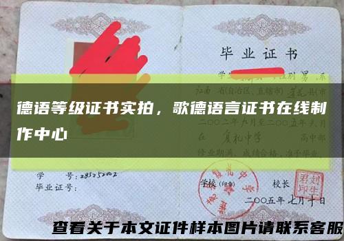 德语等级证书实拍，歌德语言证书在线制作中心缩略图