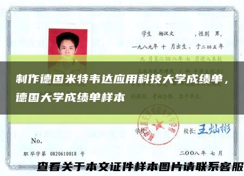 制作德国米特韦达应用科技大学成绩单，德国大学成绩单样本缩略图