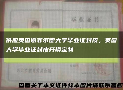 供应英国谢菲尔德大学毕业证封皮，英国大学毕业证封皮开模定制缩略图