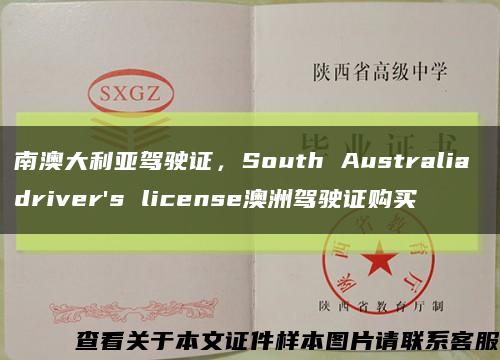 南澳大利亚驾驶证，South Australia driver's license澳洲驾驶证购买缩略图