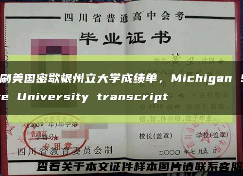 印刷美国密歇根州立大学成绩单，Michigan State University transcript缩略图