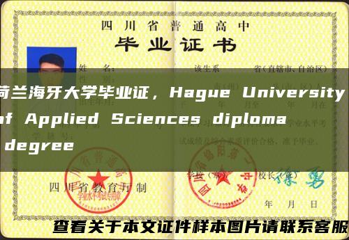 荷兰海牙大学毕业证，Hague University of Applied Sciences diploma degree缩略图