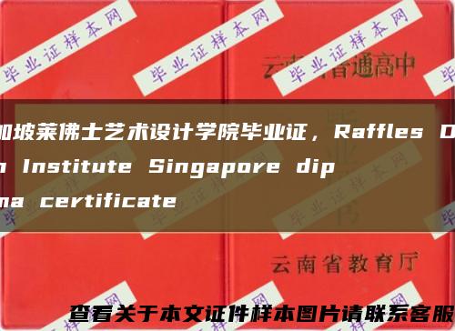 新加坡莱佛士艺术设计学院毕业证，Raffles Design Institute Singapore diploma certificate缩略图