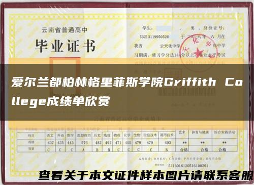 爱尔兰都柏林格里菲斯学院Griffith College成绩单欣赏缩略图