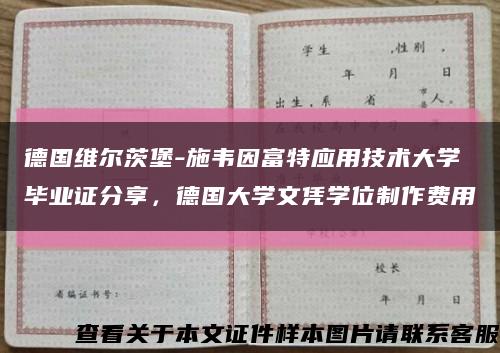 德国维尔茨堡-施韦因富特应用技术大学毕业证分享，德国大学文凭学位制作费用缩略图