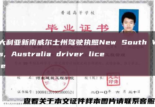 澳大利亚新南威尔士州驾驶执照New South Wales, Australia driver license缩略图