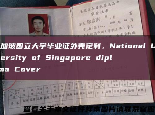 新加坡国立大学毕业证外壳定制，National University of Singapore diploma Cover缩略图