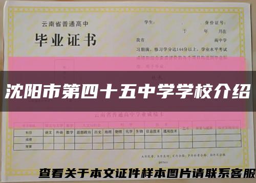 沈阳市第四十五中学学校介绍缩略图