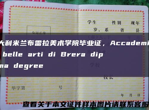 意大利米兰布雷拉美术学院毕业证，Accademia di belle arti di Brera diploma degree缩略图