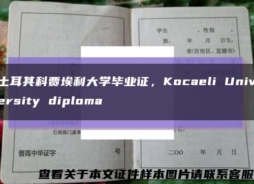 土耳其科贾埃利大学毕业证，Kocaeli University diploma缩略图