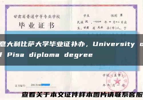 意大利比萨大学毕业证补办，University of Pisa diploma degree缩略图