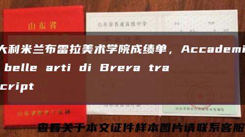 意大利米兰布雷拉美术学院成绩单，Accademia di belle arti di Brera transcript缩略图