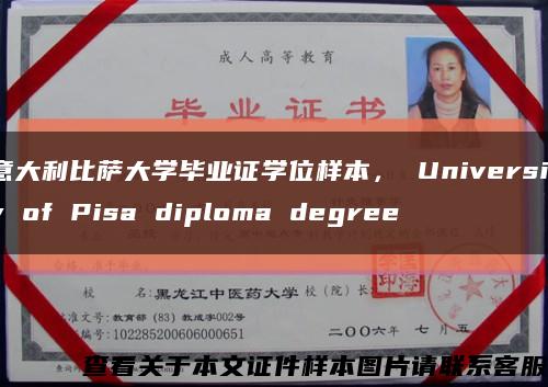 意大利比萨大学毕业证学位样本， University of Pisa diploma degree缩略图