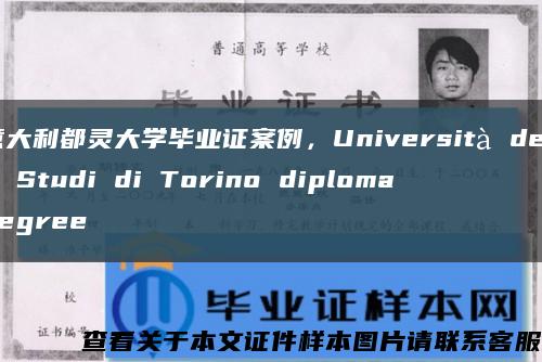 意大利都灵大学毕业证案例，Università degli Studi di Torino diploma degree缩略图