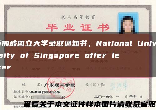 新加坡国立大学录取通知书，National University of Singapore offer letter缩略图