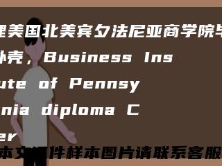 办理美国北美宾夕法尼亚商学院毕业证外壳，Business Institute of Pennsylvania diploma Cover缩略图