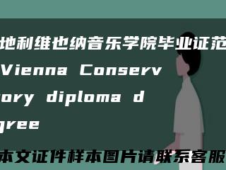 奥地利维也纳音乐学院毕业证范例，Vienna Conservatory diploma degree缩略图