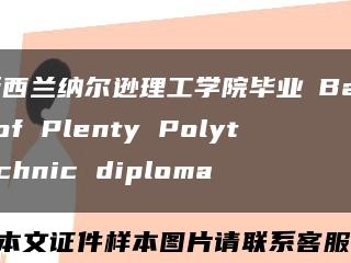 新西兰纳尔逊理工学院毕业証Bay of Plenty Polytechnic diploma缩略图