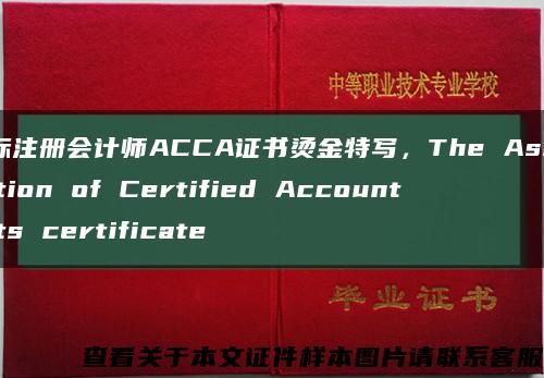 国际注册会计师ACCA证书烫金特写，The Assoication of Certified Accountants certificate缩略图
