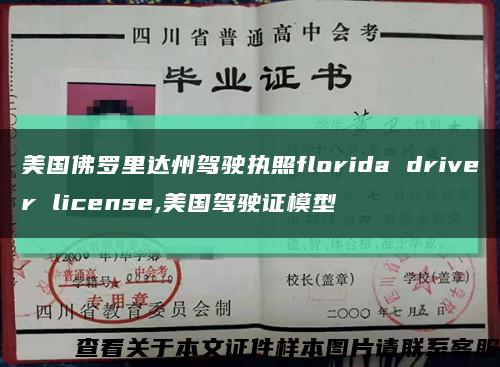 美国佛罗里达州驾驶执照florida driver license,美国驾驶证模型缩略图