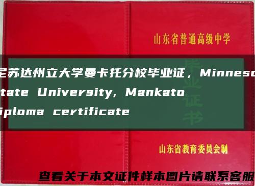 明尼苏达州立大学曼卡托分校毕业证，Minnesota State University, Mankato diploma certificate缩略图