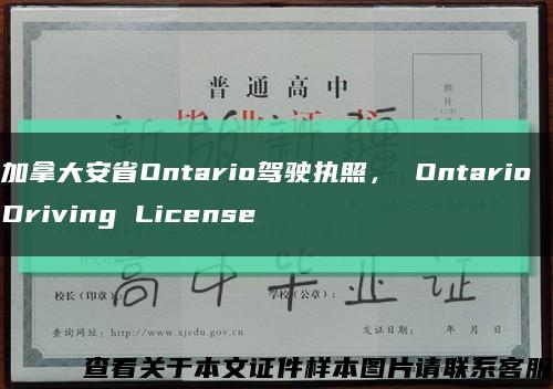 加拿大安省Ontario驾驶执照， Ontario Driving License缩略图