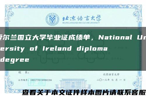 爱尔兰国立大学毕业证成绩单，National University of Ireland diploma degree缩略图