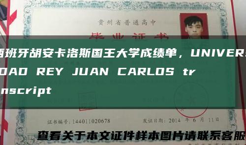 西班牙胡安卡洛斯国王大学成绩单，UNIVERSIDAD REY JUAN CARLOS transcript缩略图