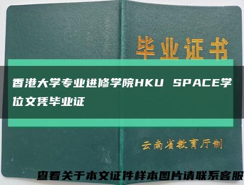 香港大学专业进修学院HKU SPACE学位文凭毕业证缩略图